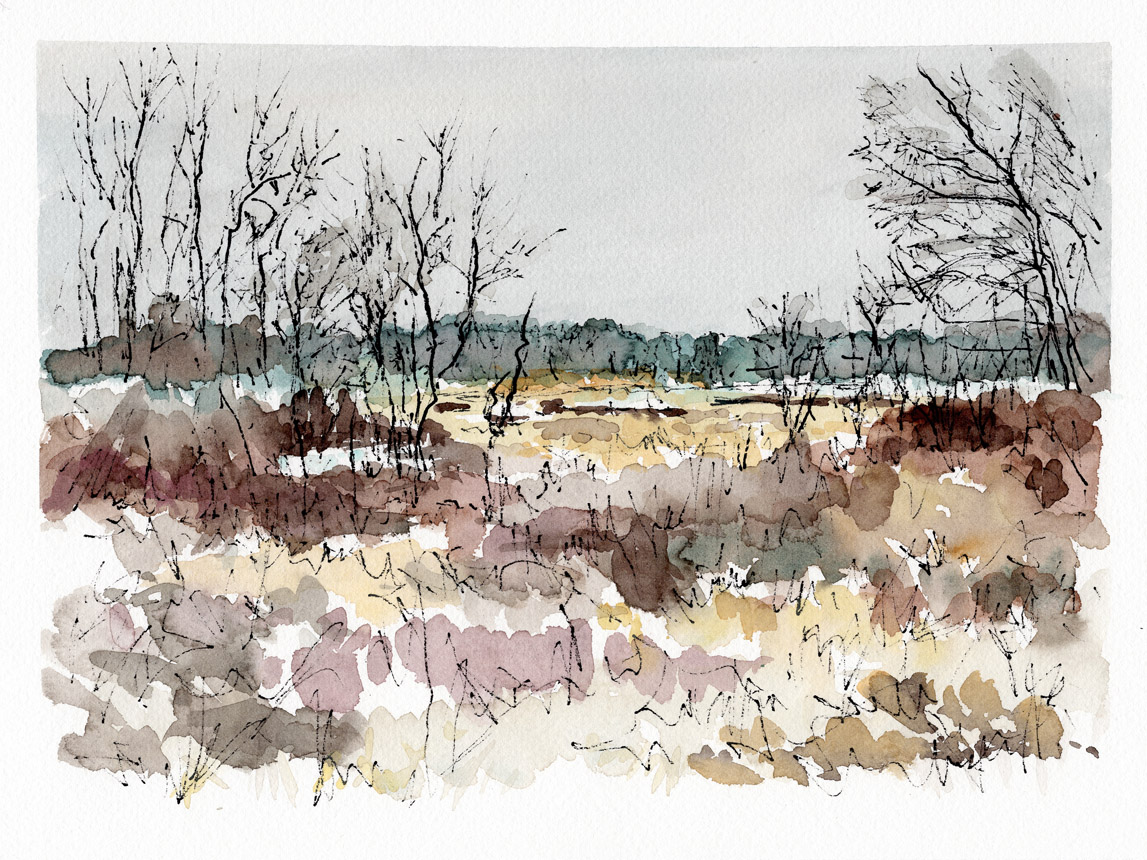 The Sky Is All Serene