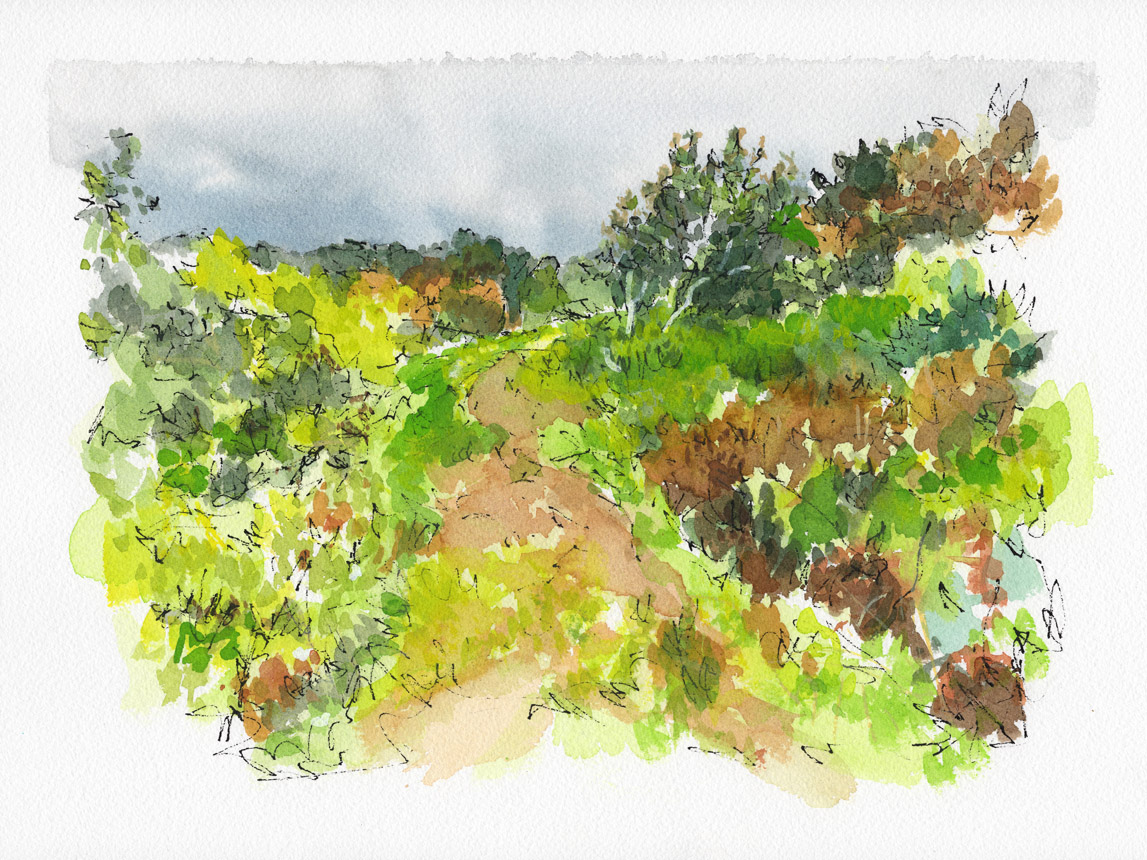 Trail Walk Dionis Land Bank 1