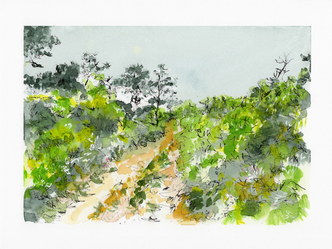 Trail Walk Dionis Land Bank 10