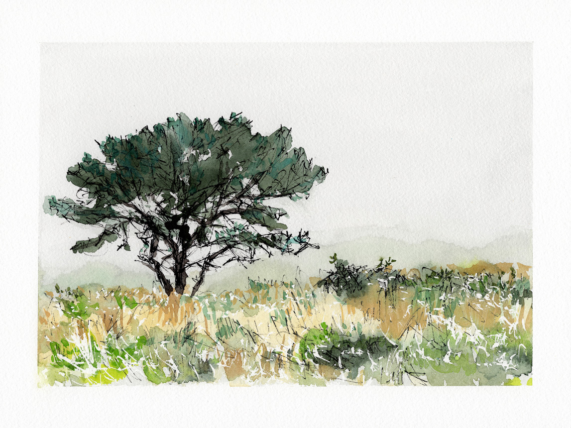 Trail Walk Dionis Land Bank 11