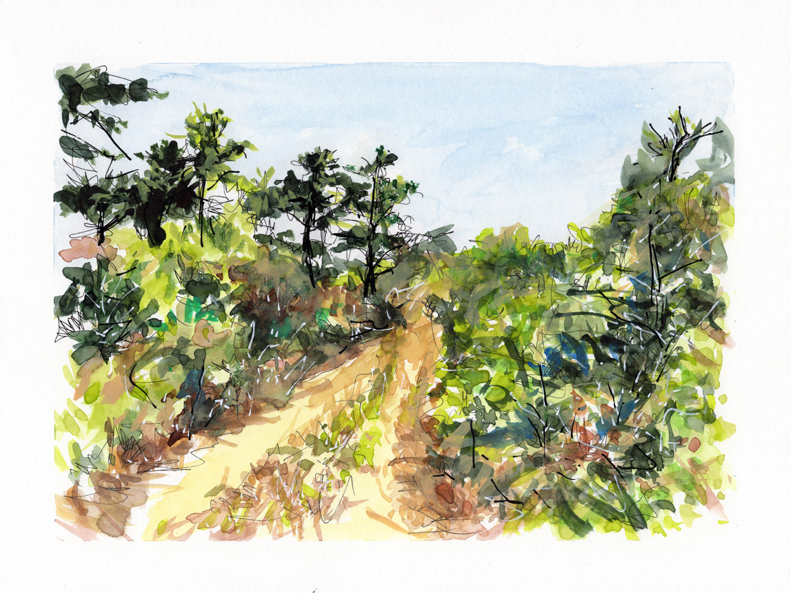 Trail Walk Dionis Land Bank 13