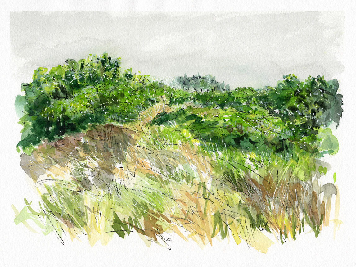 Trail Walk Dionis Land Bank 15