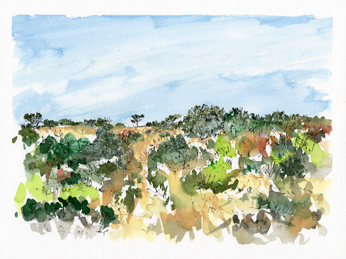 Trail Walk Dionis Land Bank 16