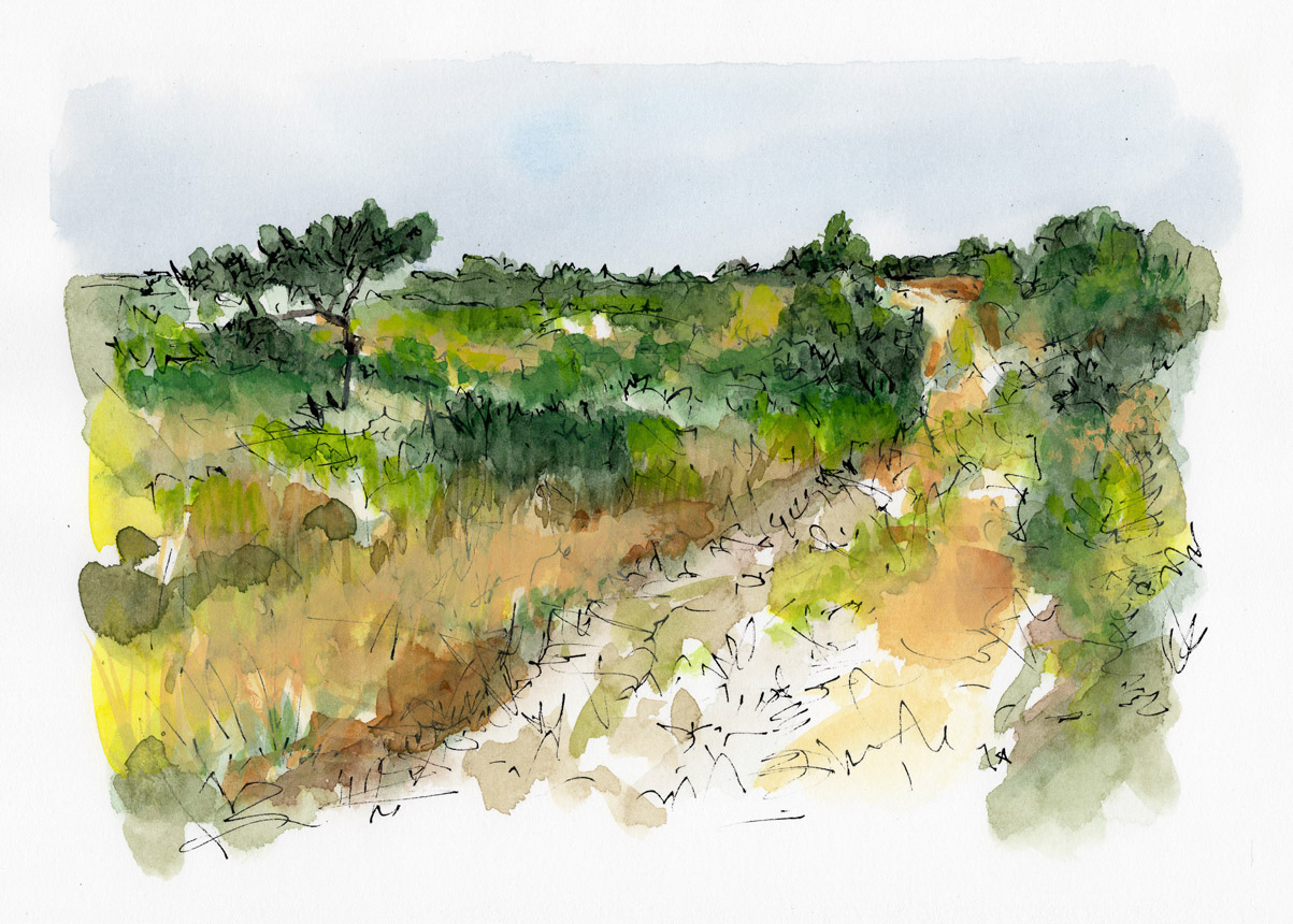 Trail Walk Dionis Land Bank 2