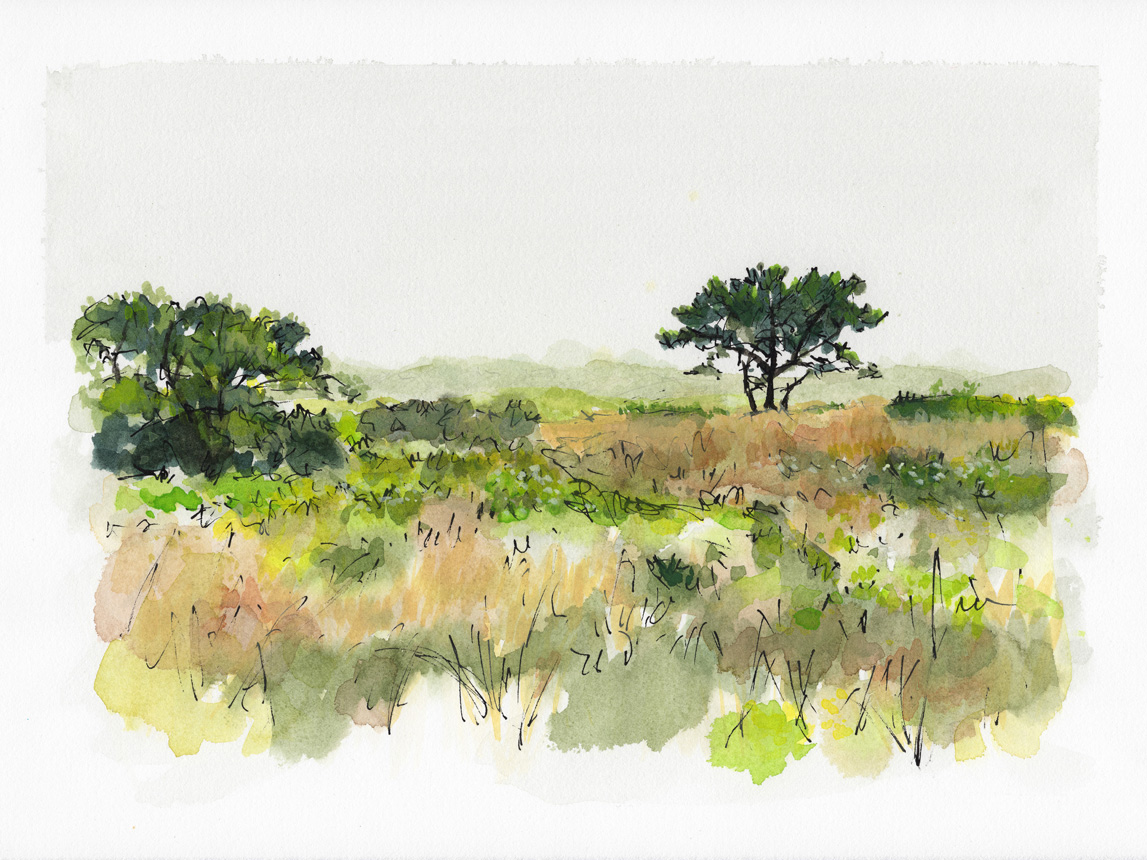 Trail Walk Dionis Land Bank 3