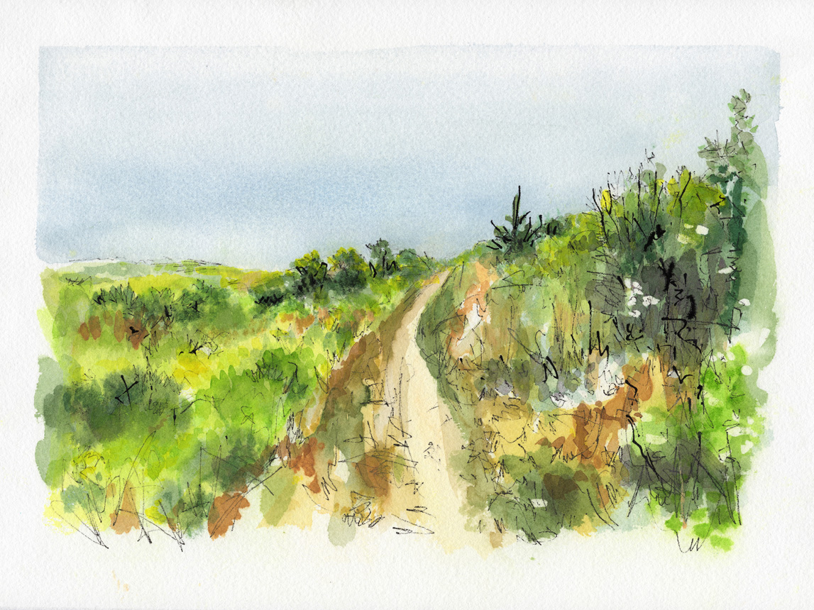 Trail Walk Dionis Land Bank 4