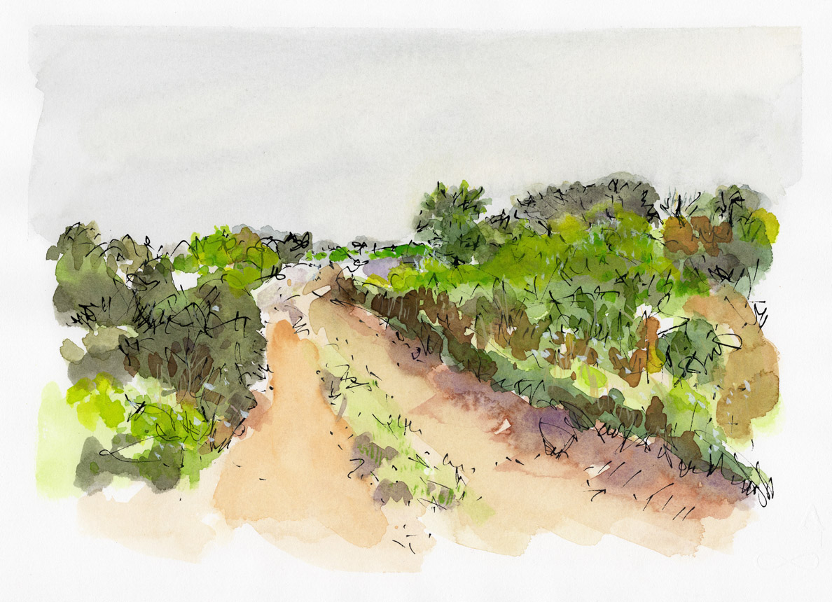 Trail Walk Dionis Land Bank 6