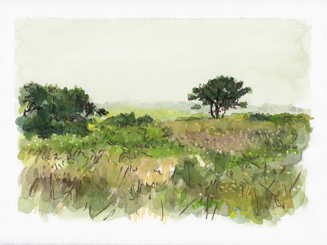 Trail Walk Dionis Land Bank 8