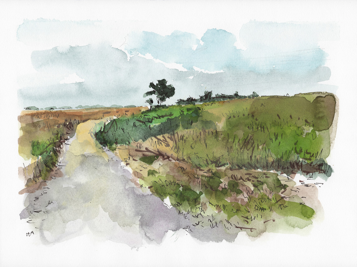 Trail Walk Dionis Land Bank 9