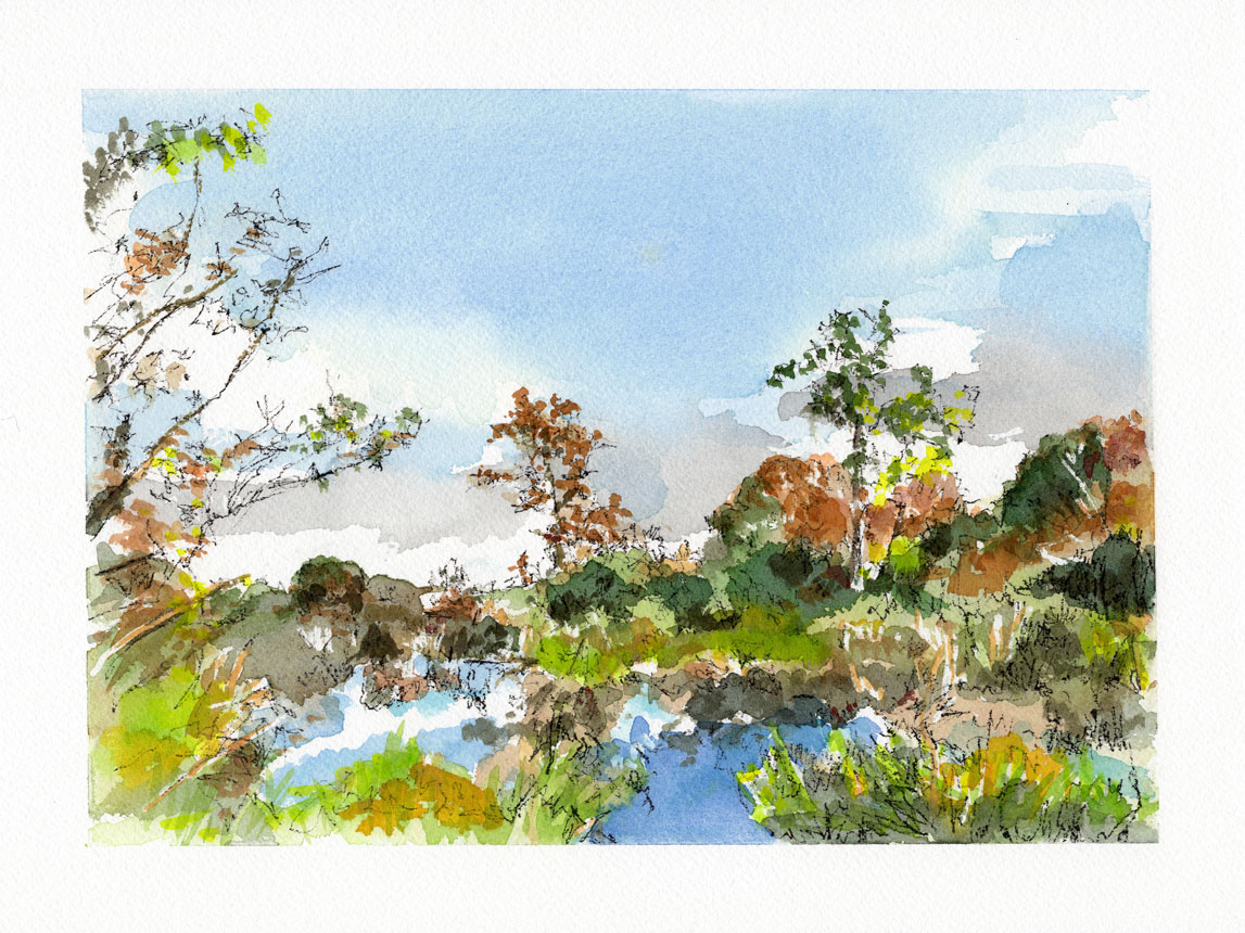 Wash Brook Sudbury 1