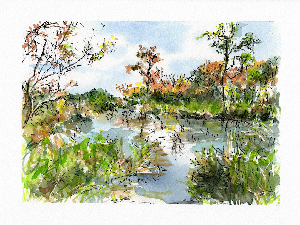 Wash Brook Sudbury 3