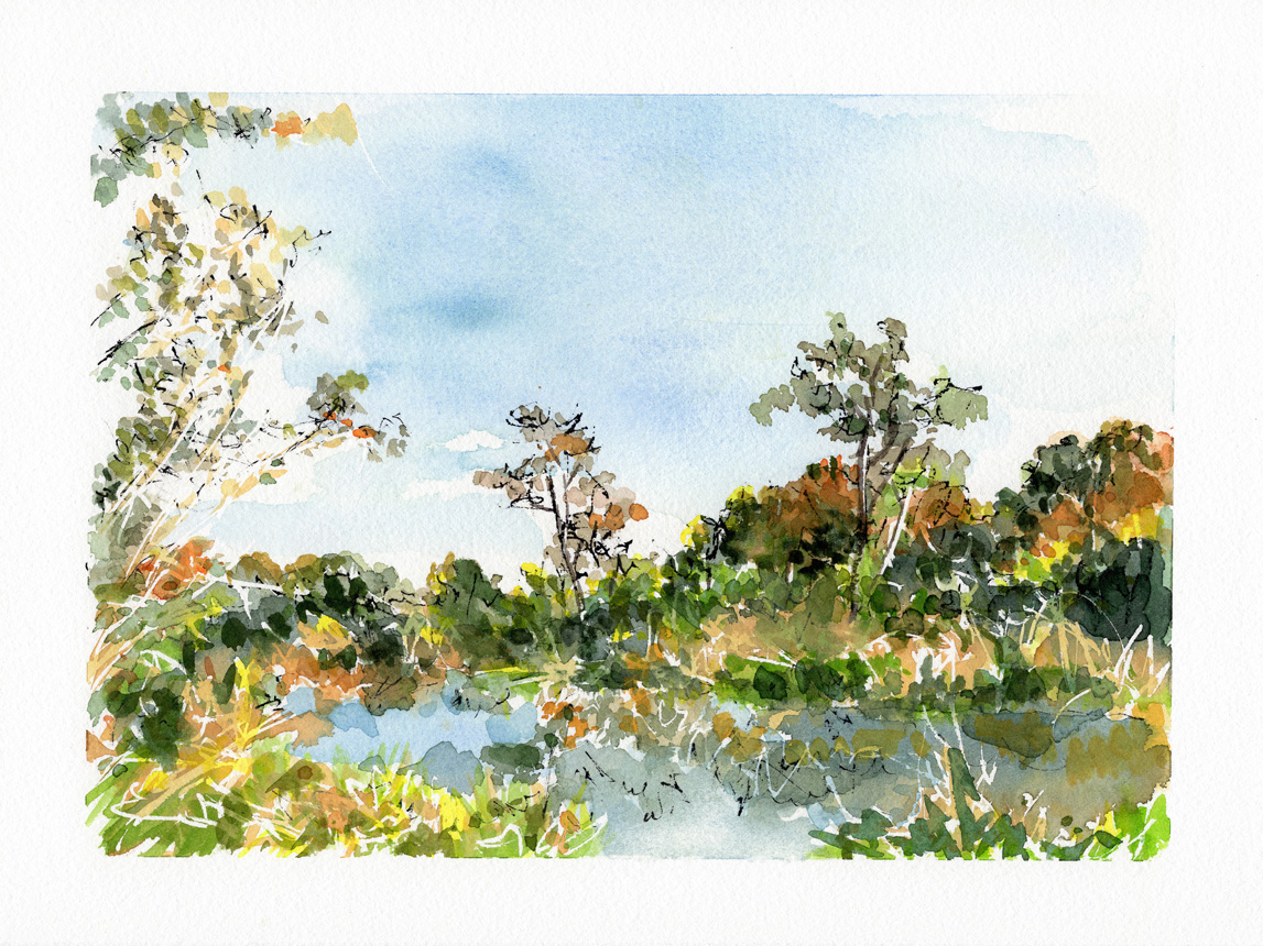 Wash Brook Sudbury 4