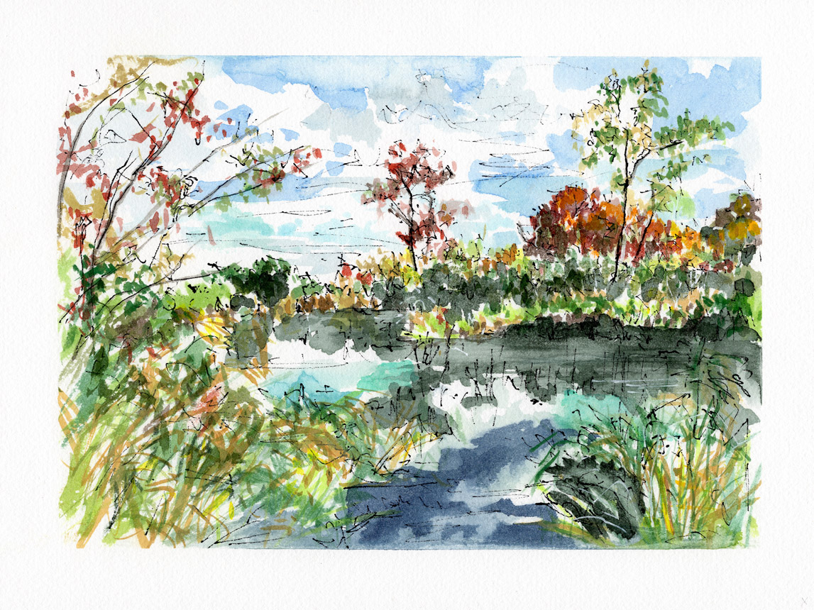 Wash Brook Sudbury 5