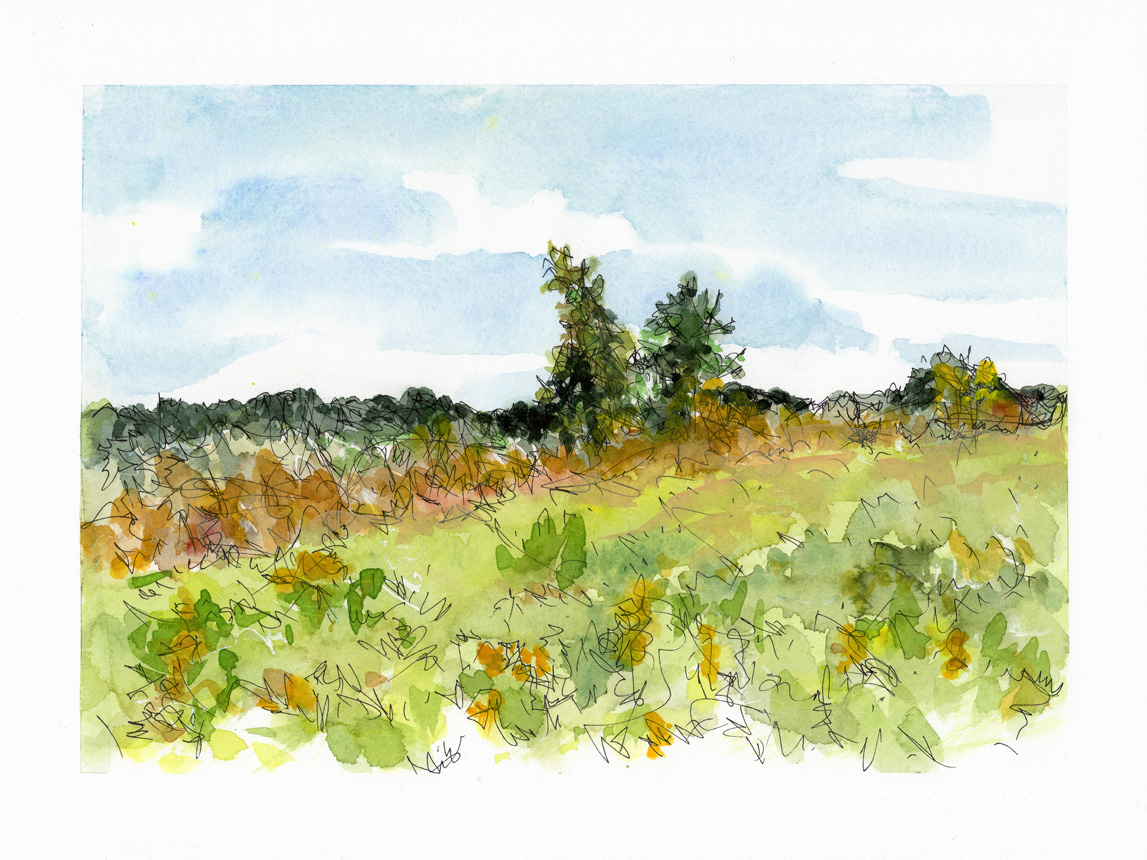 Wednesday Afternoon September