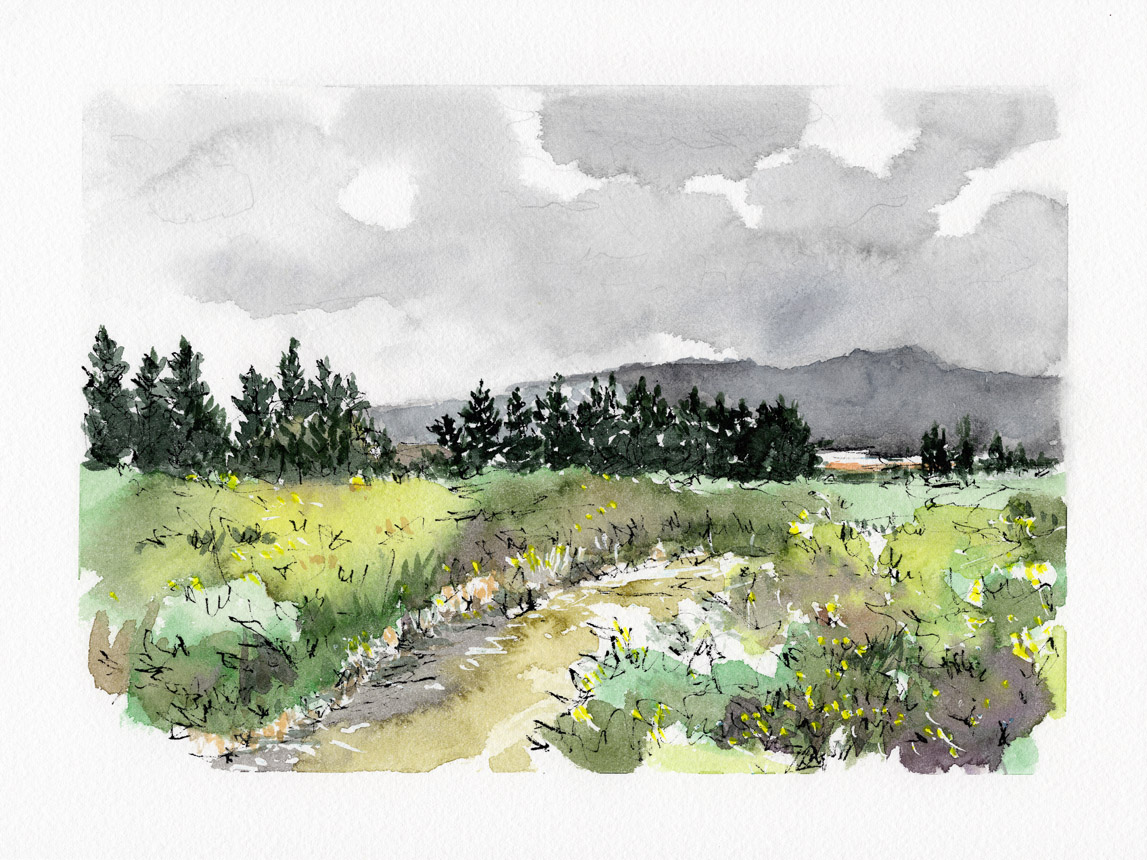 Whare Creek New Zealand 3